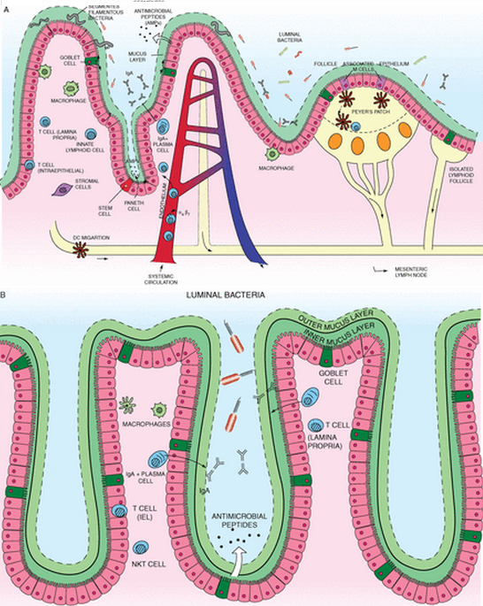 view textbook of diabetes