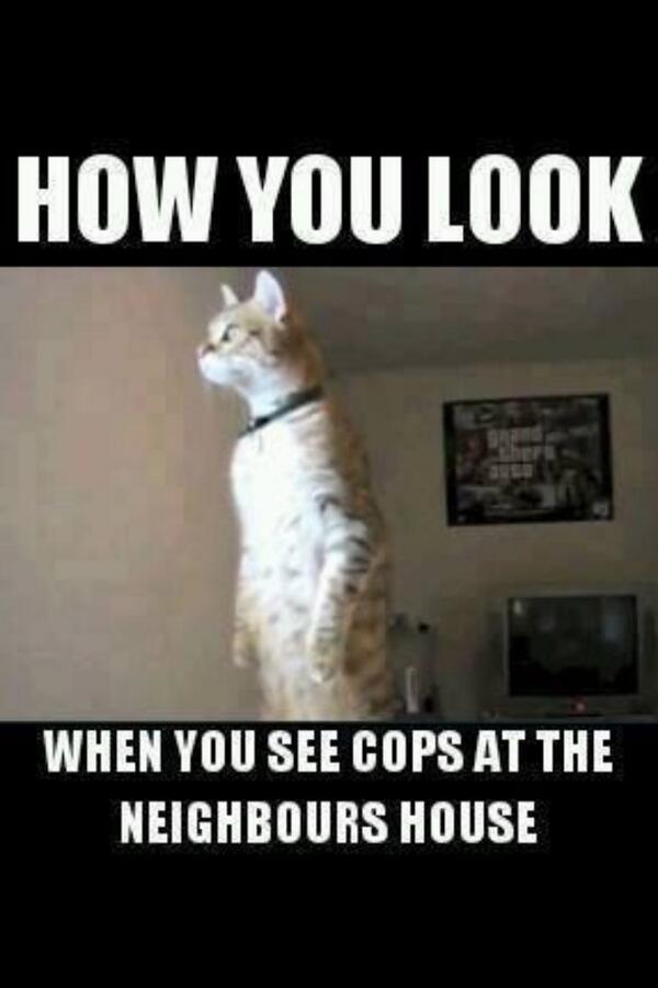 seggerz90's tweet photo. @Georgieee_xx or video it lmfao 😂 http://t.co/C3p2fD5zzz