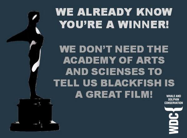 whalesorg's tweet photo. Most important #Blackfish achievement is growing awareness – to us @blackfishmovie is still a winner! #Oscars2014 http://t.co/hHmBEk4e1Z