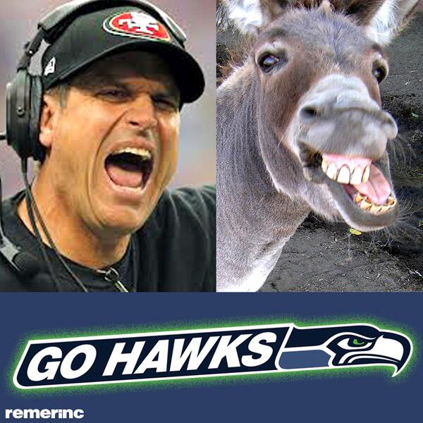 remerinc's tweet photo. A striking similarity! #Harbaugh #Jackass #GoHawks #SeaVsSF #NFCChampionship http://t.co/GHxFzWa1EP