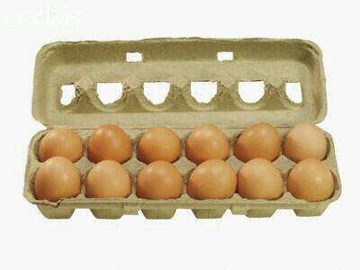 hisegg's tweet photo. family photo http://t.co/EAQuSn7yiJ