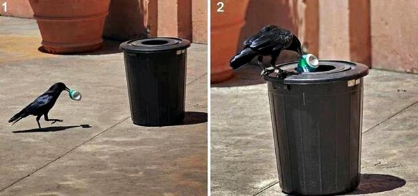BialCitou's tweet photo. Qual é a sua desculpa? http://t.co/uu5yRDEgl9