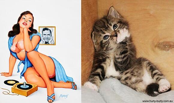 witpoll's tweet image. 30 Sexy Cats That Look Like Pin-up Girls