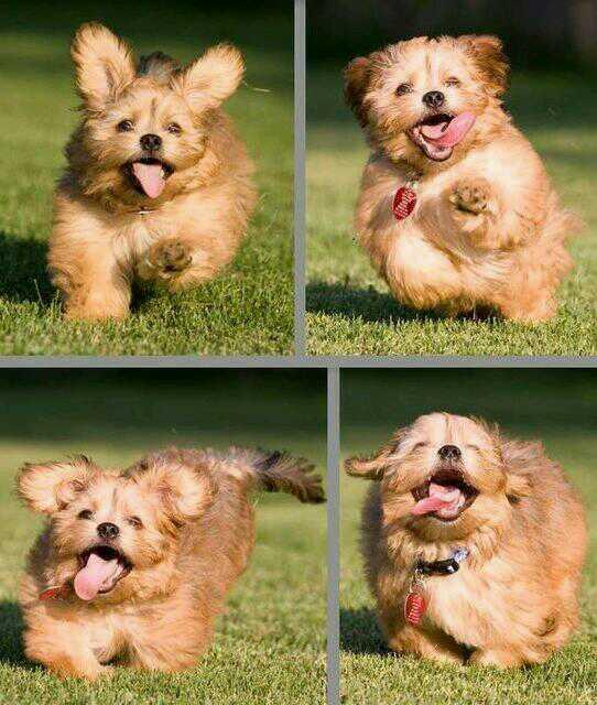 AimFollow's tweet photo. Mom: dinner is ready Me: http://t.co/3vu7xfpmfR