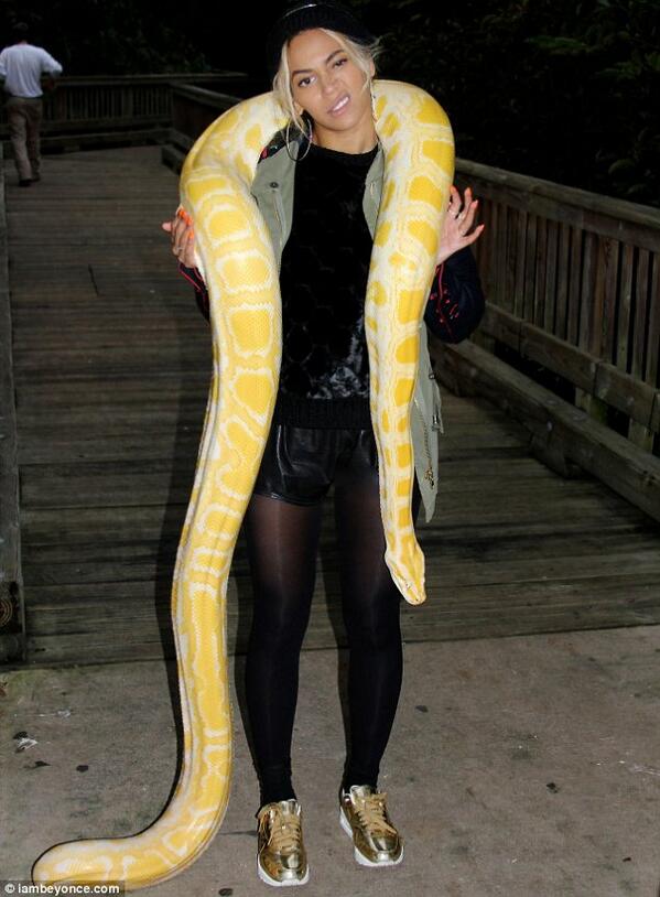 Foxthesnake's tweet photo. how do I get a gig with beyonsssssssssssssé? this snake is part of the beehive! http://t.co/4vpQz0mWhw