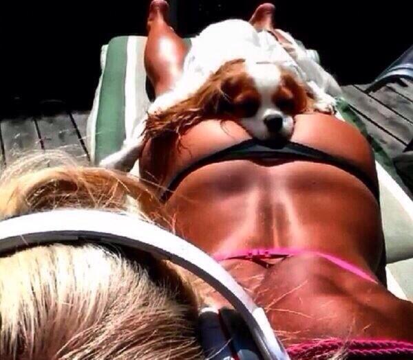 This dog gets more ass than me smh