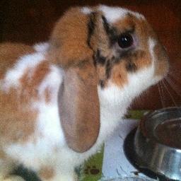 heidili8's tweet photo. Hello world! #newprofilepic http://t.co/vRhbxGJbOH