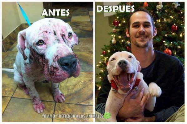 marianavertiz1 tweet picture