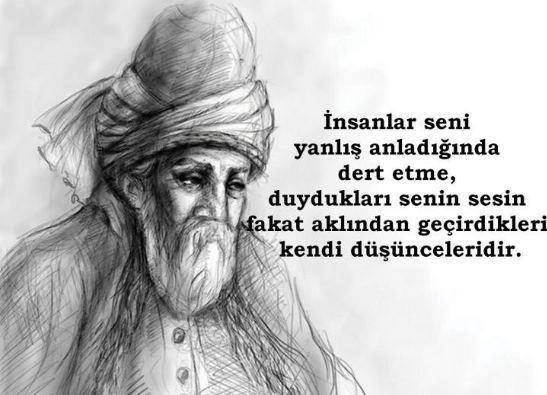 İnsanlar seni yanlış anladığında dert etme, duydukları senin sesin fakat aklından geçirdikleri kendi düşünceleridir.