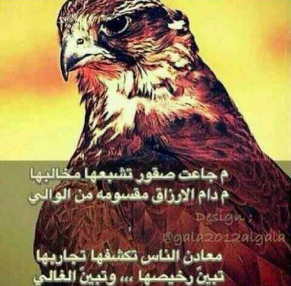 dibshj's tweet photo. http://t.co/2Q0FDD2CrI