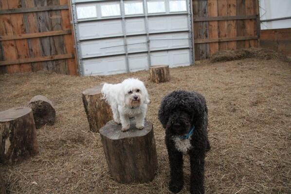 And 3: I have made some great friends on this trip.