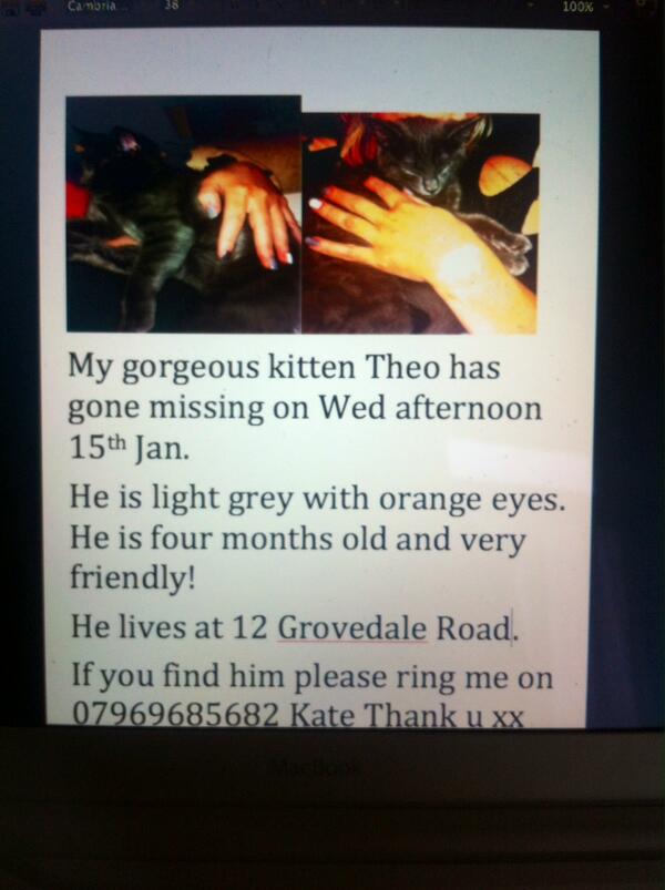 Kate Mullin tweet media