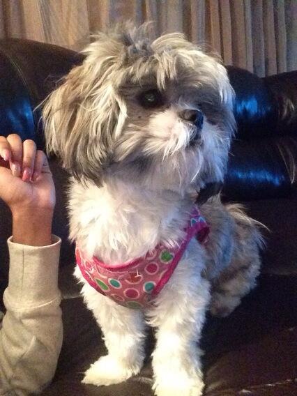 Watch Niya's leaked NSFW photo on TwXstars