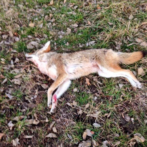 codyjones_33's tweet photo. http://t.co/RmD1JTzKr9