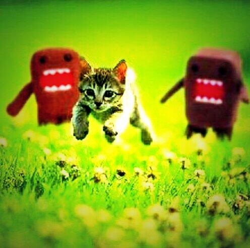 deisyjuarez2000's tweet photo. Is crazy and funny :-) http://t.co/WKPm742TGi
