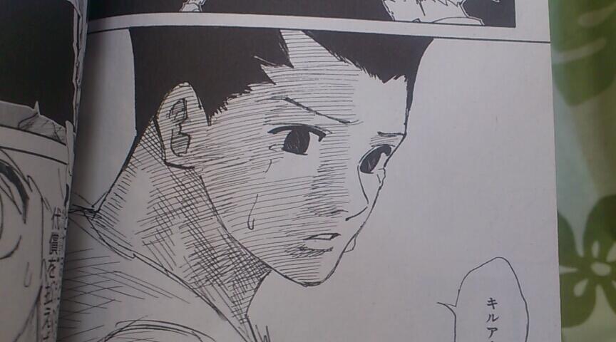 Yakyuotoko ゴンさんこええ ハンターハンター29巻 Http T Co Tlrje4ifk0 Twitter