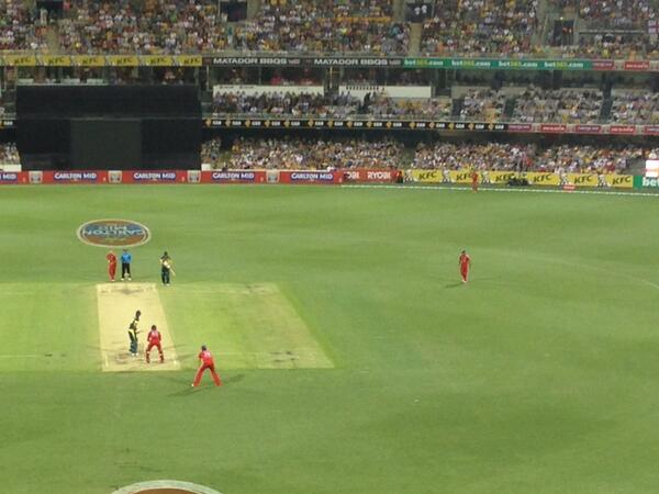 CKing1963's tweet photo. Great way to spend a balmy evening in Brissy #cricket http://t.co/IcFKurewyW