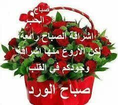 magdi459's tweet photo. http://t.co/mtKMHfh6M2