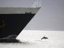 Have a Great Weekend!