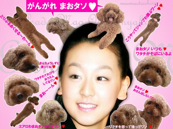 Twitter पर 芸能人の天然ボケ 笑 エピソード 記者 世界女王になって 前と何か変わりましたか 浅田真央 あ ティアラと小町が大きくなってました 愛犬エアロの子犬 記者 T Co 1r8p0p22ac