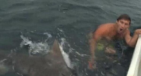 A3Noticias's tweet photo. Un bañista se salva del ataque de un tiburón tigre de más de dos metros y medio [VÍDEO] http://t.co/mImoD8zO38 http://t.co/H3PgSfnvMS