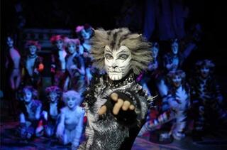 HTVIstanbul's tweet image. BROADWAY SHOW IN TOWN:  CATS-Jan. 21-Feb. 2, 2014/ ZORLU PSM.  Book a hotel room?  #HTVIstanbul  istanbul@hotels.tv