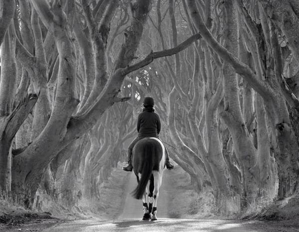 The Dark Hedges, Grace hill, Northern Ireland
