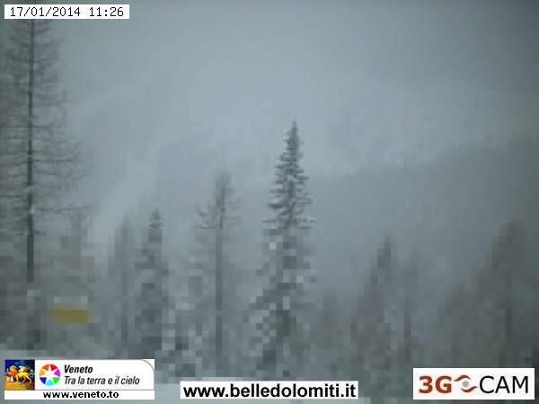 Cortina d'Ampezzo - Col Drusciè con vista sulle piste di Tofana #webcam #dolomiti #neve #meteo webcamforski.com/Cortina+d%27Am…