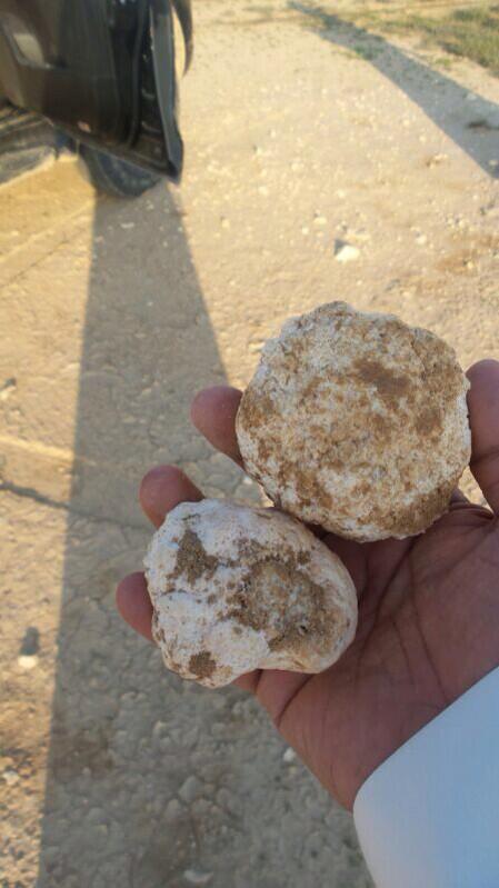 9id1's tweet photo. “@q8_falconry: فقع شمال قطر الآن
زبيديتين توني لاقطهن http://t.co/IaxnjhrcuZ”