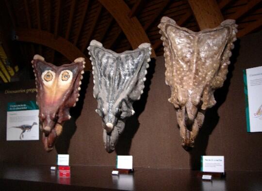 elmundoes's tweet photo. ¿De qué color eran los dinosaurios? Lo explica Luis Alcalá en su #blogosaurio http://t.co/LuHIeg53dq http://t.co/vblXDTT1RN