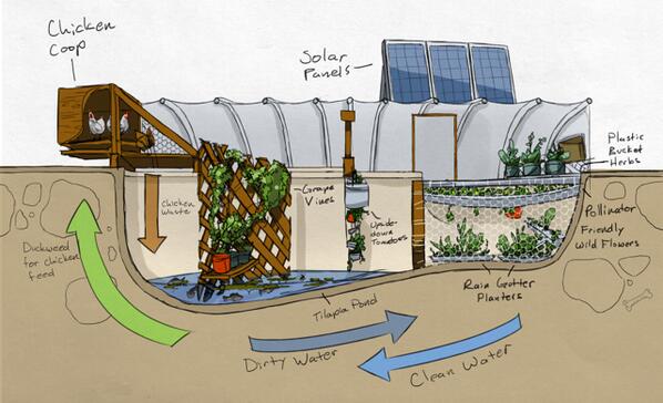 DanCitizen's tweet photo. HELP: I have an pool in my backyard. My wife will let me turn it into a pool garden if I get 100 RTs! @Food_Tank http://t.co/brl6Bbfzkk