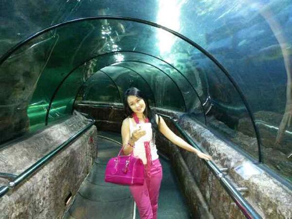 dinasafitritri's tweet photo. @SeaWorld Ancol http://t.co/catllFGcnT
