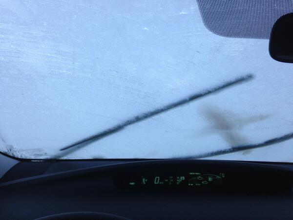 DailyDoseOfZo's tweet image. Absence of Evidence is not Evidence of Absence #SnowOrNot