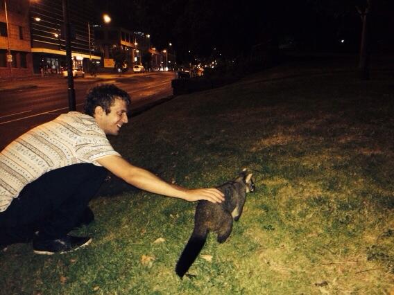 RealPingPing's tweet photo. @Alex trying to be friend with a opossum http://t.co/VDuy4BhwtG