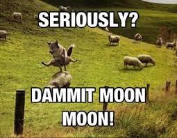 thisjustEM's tweet photo. “@ItsMoonMoon_: http://t.co/UXbyXJlNBv” @EthanBrasel 😂I'm dying looking at this account
