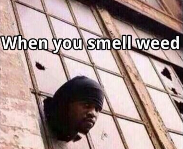 KushStories's tweet photo. When you smell weed http://t.co/j0KJuoSW4j