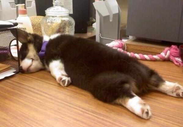 cfritsch67's tweet image. Me today...flight home tomorrow morning #mailitin #TGIF