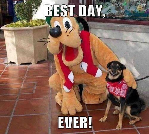 MensHumor's tweet photo. BEST DAY EVER! http://t.co/bVLHSF9tIb