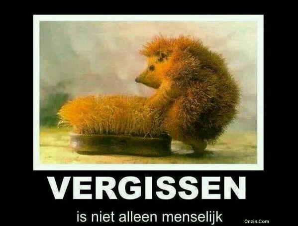 jacco_storm's tweet photo. ---
---
Verzonden via WhatsApp http://t.co/cDJL1Ce8ZN