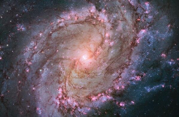 NASA's tweet photo. What's our new cover image? It's a @NASA_Hubble mosaic of spiral galaxy M83: http://t.co/7LhmZhDwGL   http://t.co/XeP5Mq9kz7