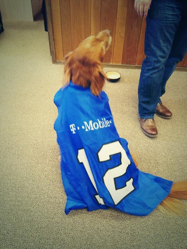 knighhtt's tweet photo. GO HAWKS! Happy Blue Friday from your favorite '12th Dog', Bonz! #flatbed #trucking http://t.co/6hIeFJDUIZ