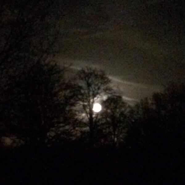 willcarling's tweet photo. One bright moon #spooky #werewolftime #ghosts #beautiful http://t.co/n6frrDyxmg http://t.co/AeXSfylxmM
