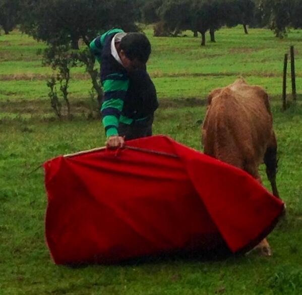 "<a href="/ivanfandino/">Ivan Fandiño</a>: Toreando a campo abierto en casa de mi amigo <a href="/PeredaDehesilla/">Pereda-La Dehesilla</a> "ÓLE ÓLE FELISIDADE Y MUCHAS SUERTE ÓLE