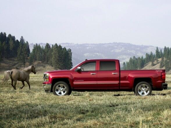 KatieePatterson's tweet photo. New '14 Silverado #Chevy #Horsepower #Sexybeast @KristinMktgGuru  @DavisGMAirdrie @TruckP0rn @Retweet_Trucks http://t.co/WT6Lim45Dc