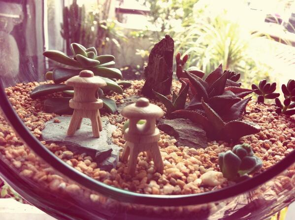 Terrariummx tweet picture