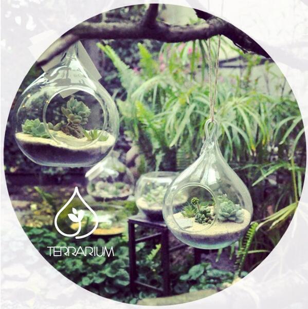 Terrariummx tweet picture