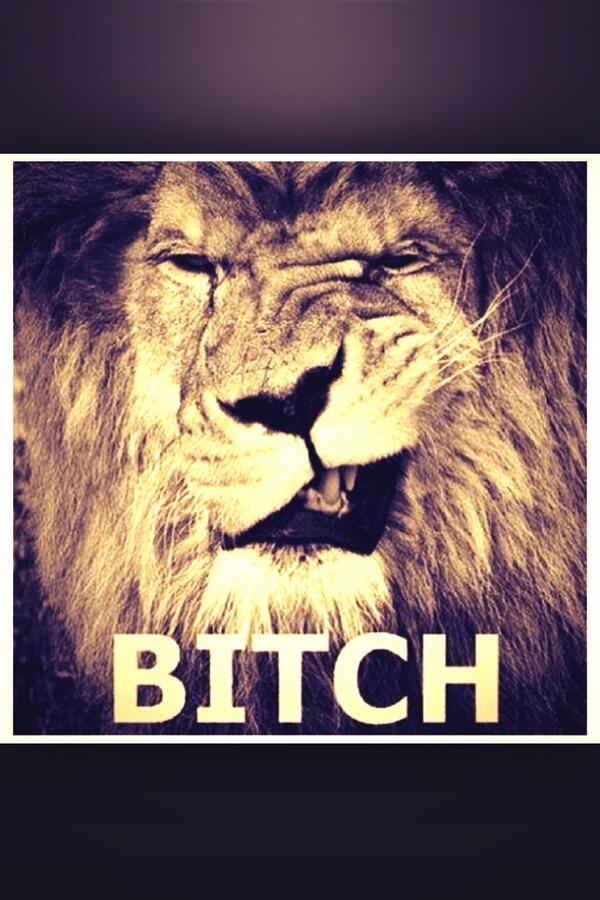 CiroLibano's tweet image. 😉