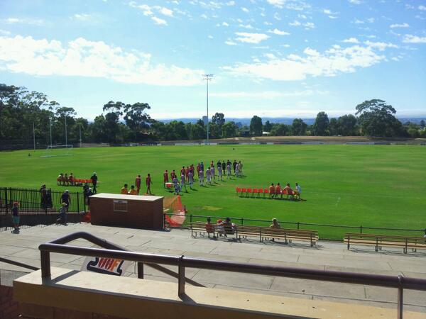 Belinda Ginis tweet media