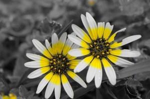 youngatpark's tweet photo. Did you know: Up to 70% of PWPs experience depression & anxiety. Read more: http://t.co/akCtoKlE82 #Parkinsonsblog http://t.co/DklYY8KgB5
