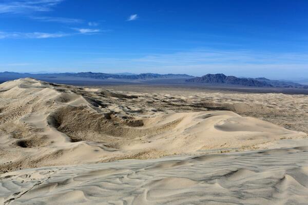 allyruttan's tweet image. Amazing pattern of sand deposition at #Kelso #Dunes last week! #natureiscrazy #Biol4090